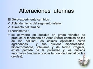 Alteraciones  uterinas <ul><li>El útero experimenta cambios : </li></ul><ul><li>Ablandamiento del segmento inferior </li><...