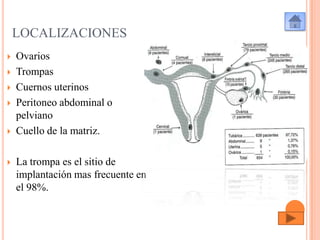 LOCALIZACIONES









Ovarios
Trompas
Cuernos uterinos
Peritoneo abdominal o
pelviano
Cuello de la matriz.
La trompa es el sitio de
implantación mas frecuente en
el 98%.

 