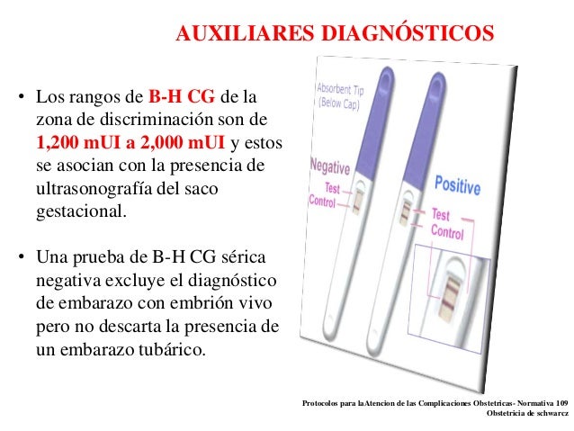 Ectópico Ecografia Negativa Y Embarazo Embarazo Ectópico El Examen