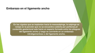 Embarazo en el ligamento ancho
En los cigotos que se implantan hacia la mesosalpinge, la salpinge se
rompe en la porción que no se encuentra cubierta por peritoneo,el
contenido gestacional sale hacia un espacio formado entre los pliegues
del ligamento ancho y luego se convierte en un embarazo
intraligamentoso o del ligamento ancho.
 