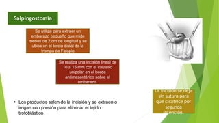 Salpingostomía
Se utiliza para extraer un
embarazo pequeño que mide
menos de 2 cm de longitud y se
ubica en el tercio distal de la
trompa de Falopio
Se realiza una incisión lineal de
10 a 15 mm con el cauterio
unipolar en el borde
antimesentérico sobre el
embarazo.
 Los productos salen de la incisión y se extraen o
irrigan con presión para eliminar el tejido
trofoblástico.
La incisión se deja
sin sutura para
que cicatrice por
segunda
intención.
 