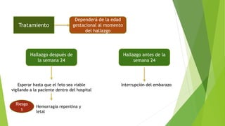 Tratamiento
Dependerá de la edad
gestacional al momento
del hallazgo
Hallazgo después de
la semana 24
Esperar hasta que el feto sea viable
vigilando a la paciente dentro del hospital
Riesgo
s
Hemorragia repentina y
letal
Hallazgo antes de la
semana 24
Interrupción del embarazo
 