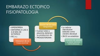 EMBARAZO ECTOPICO
FISIOPATOLOGIA
• AMENORREA
• SINTOMAS A LAS 6
A 8 SDG DE
ECTOPICO
• PIE (+)
Dilatacion de La
tropa anormal
• Cuerpo luteo y
placenta detienen
su produccion de
• PROGESTERONA
Erocion de los vasos
sanguineos • La caduca
(decidua)se
esfacela como
cilindro decidual
• ℬhCG se estabiliza
Invacion de vasoso
a vasos vecinos
HEMORRAGIA
 
