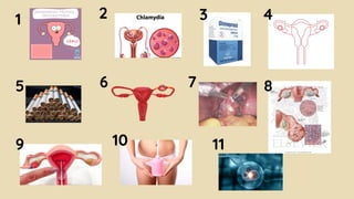 1 2 3 4
5 6 7 8
9 10 11
 