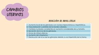 CAMBIOS
UTERINOS
REACCIÓN DE ARIAS-STELLA
 