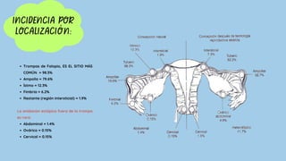 INCIDENCIA POR
LOCALIZACIÓN:
Trompas de Falopio, ES EL SITIO MÁS
COMÚN = 98.3%
Ampolla = 79.6%
Ístmo = 12.3%
Fimbria = 6.2%
Restante (región intersticial) = 1.9%
La anidación ectópica fuera de la trompa
es rara:
Abdominal = 1.4%
Ovárico = 0.15%
Cervical = 0.15%
 