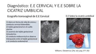 Diagnóstico: E.E CERVICAL Y E.E SOBRE LA
CICATRIZ UMBILICAL
Ecografía transvaginal de E.E Cervical
1) útero en forma de reloj de arena y
conducto cervical distendido;
2) tejido gestacional en el cuello
uterino
3) ausencia de tejido gestacional
intrauterino.
4) conducto endocervical se observa
interpuesto entre el tejido gestacional
y el conducto endometrial
E.E Sobre la cicatriz umbilical
Williams. Obstetricia (24a. ed.) pag 377-392
 