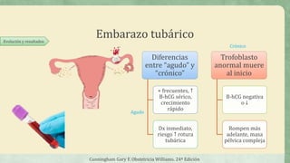 Embarazo tubárico
Cunningham Gary F, Obstetricia Williams. 24ª Edición
Evolución y resultados
Diferencias
entre “agudo” y
“crónico”
+ frecuentes, ↑
B-hCG sérico,
crecimiento
rápido
Dx inmediato,
riesgo ↑ rotura
tubárica
Trofoblasto
anormal muere
al inicio
B-hCG negativa
o ↓
Rompen más
adelante, masa
pélvica compleja
Agudo
Crónico
 
