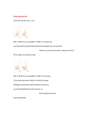Desarrollo del feto

Desarrollo del feto mes a mes:




Mes 1: Mide 4 mm y pesaMes 2: Mide 3 cm y pesa 3 g.

1 g. Desarrollo incipiente Desarrollo de brazosypiernas, así como del

                                     Piernas, así como del cerebro y órganos internos.

De la cabeza. El corazón ya late




Mes 3: Mide 10 cm y pesaMes 4: Mide 15 cm y pesa

45 g. Desarrollo de los 180 g. Se cubre de lanugo.

Párpados y movimiento deEl intestino comienza a

Las extremidadesllenarse de meconio. La

                                    Piel es todavía muy fina,

Casi transparente.
 