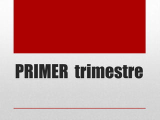 PRIMER trimestre
 