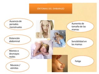 Consecuencias socioeconómicos
