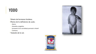 YODO
 Síntesis de hormonas tiroideas.
 Efectos de la deficiencia de yodo:
 Aborto
 Anomalías congénitas
 Incremento de la mortalidad perinatal e infantil
 Cretinismo
 Yodación de la sal.
 