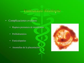 • Complicaciones ovulares

   • Ruptura prematura de membranas

   • Polihidramnios

   • Funiculopatías

   • Anomalías de la placentación.
 