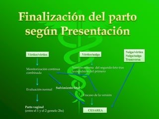 Nalga/vértice
 Vértice/vértice                           Vértice/nalga                  Nalga/nalga
                                                                          Transversa


Monitorización continua           Versión externa del segundo feto tras
combinada                         la expulsión del primero




                       Sufrimiento fetal
Evaluación normal
                                           Fracaso de la versión


Parto vaginal
(entre el 1 y el 2 gemelo 2hs)                 CESAREA
 