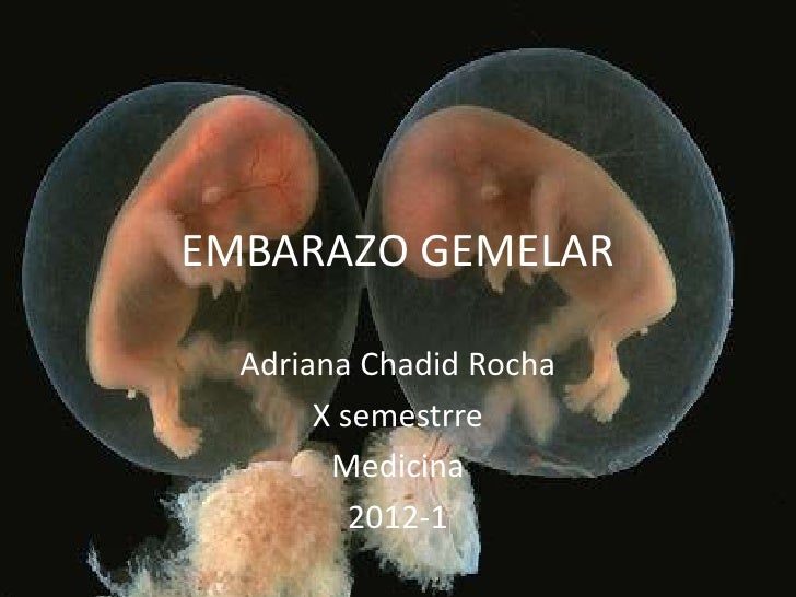 Embarazo Gemelar
