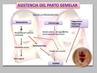 Vértice/vértice Vértice/nalga
Nalga/vértice
Nalga/nalga
Transversa
Monitorización continua
combinada
Evaluación normal
Parto vaginal
Sufrimiento fetal
Versión externa del segundo feto
tras la expulsión del primero
Fracaso de la versión
CESAREA
SEGÚN LA PRESENTACIÓN
 