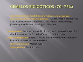  Gemelos fraternos, bivitelinos, biovulares, son los gemelos
provenientes de dos óvulos diferentes. Pueden tener el mismo sexo
o no. Geneticamente diferentes. Cada gemelo tiene su propia
placenta y membranas. Patologías diferentes.
_Impregnación: Ruptura de un folículo con dos óvulos o dos folículos
simultáneamente. La fecundación es en el mimo coito.
_Súper impregnación: Ruptura de dos folículos en distinto momento.
La fecundación es en distintos coitos.
Súper fecundación: Mismo ciclo.
Súper fetación: Distinto ciclo.
 