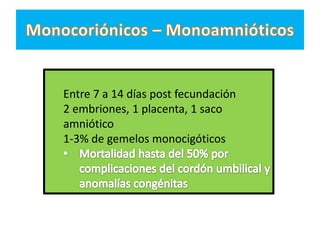Entre 7 a 14 días post fecundación
2 embriones, 1 placenta, 1 saco
amniótico
1-3% de gemelos monocigóticos
 