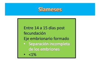 Entre 14 a 15 días post
fecundación
Eje embrionario formado


• <1%
 