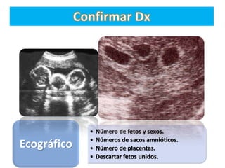 •   Número de fetos y sexos.
             •   Números de sacos amnióticos.
Ecográfico   •   Número de placentas.
             •   Descartar fetos unidos.
 