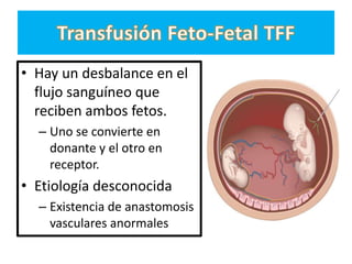• Hay un desbalance en el
  flujo sanguíneo que
  reciben ambos fetos.
  – Uno se convierte en
    donante y el otro en
    receptor.
• Etiología desconocida
  – Existencia de anastomosis
    vasculares anormales
 