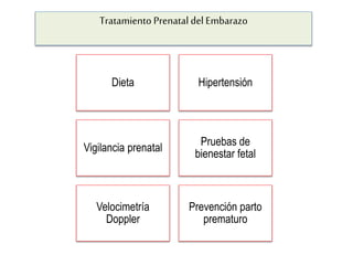 Tratamiento Prenatal del Embarazo
Dieta Hipertensión
Vigilancia prenatal
Pruebas de
bienestar fetal
Velocimetría
Doppler
Prevención parto
prematuro
 