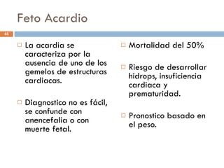 Feto Acardio La acardia se caracteriza por la ausencia de uno de los gemelos de estructuras cardiacas. Diagnostico no es fácil, se confunde con anencefalia o con muerte fetal. Mortalidad del 50% Riesgo de desarrollar hidrops, insuficiencia cardiaca y prematuridad. Pronostico basado en el peso. 
