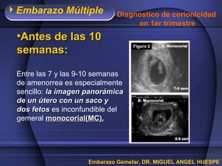 Embarazo Múltiple           Diagnostico de corionicidad
                                   en 1er trimestre
 •Antes de las 10
 semanas:

 Entre las 7 y las 9-10 semanas
 de amenorrea es especialmente
 sencillo: la imagen panorámica
 de un útero con un saco y
 dos fetos es inconfundible del
 gemeral monocorial(MC).




                     Embarazo Gemelar, DR. MIGUEL ANGEL HUESPE
 