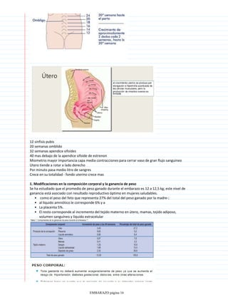 12 sinfisis pubis
20 semanas omblido
32 semanas apendice sifoides
40 mas debajo de la apendice sifoide de estrenon
Miometrio mayor importancia capa media contracciones para cerrar vaso de gran flujo sanguineo
Utero tiende a rotar a lado derecho
Por minuto pasa medio litro de sangres
Crece en su totalidad - fondo uterino crece mas
1. Modificaciones en la composición corporal y la ganancia de peso
como el peso del feto que representa 27% del total del peso ganado por la madre-;
•
al líquido amniótico le corresponde 6% y a
•
La placenta 5%.
•
El resto corresponde al incremento del tejido materno en útero, mamas, tejido adiposo,
volumen sanguíneo y líquido extracelular
•
Se ha estudiado que el promedio de peso ganado durante el embarazo es 12 a 12,5 kg; este nivel de
ganancia está asociado con resultado reproductivo óptimo en mujeres saludables.
EMBARAZO página 16
 