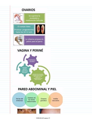 EMBARAZO página 25
 