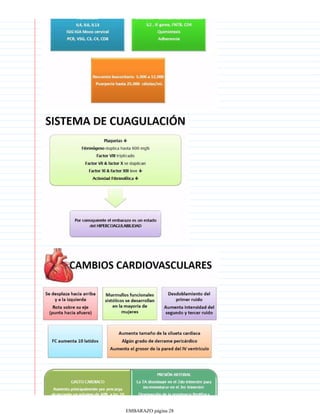 EMBARAZO página 28
 