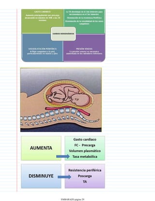 EMBARAZO página 29
 