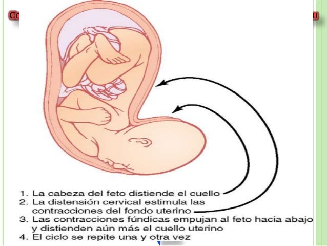 El dolor agudo en los riñones el medio público
