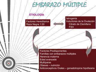 ETIOLOGÍA
                                    Iatrogenia
Factores Hereditarios               Inductores de la Ovulación
Raza Negra 1:20                        Citrato de Clomifeno
                                       FSH




            Factores Predisponentes
            Familias con embarazos múltiples
            Herencia materna
            Edad avanzada
            Multíparas
            Obesas – nutrición
            Anticonceptivos Orales – gonadotropina hipofisiaria
 