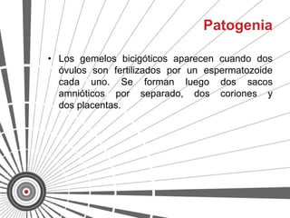 Patogenia

• Los gemelos bicigóticos aparecen cuando dos
  óvulos son fertilizados por un espermatozoide
  cada uno. Se forman luego dos sacos
  amnióticos por separado, dos coriones y
  dos placentas.
 