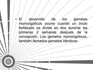 • El      desarrollo   de   los   gemelos
  monocigóticos ocurre cuando un óvulo
  fertilizado se divide en dos durante las
  primeras 2 semanas después de la
  concepción. Los gemelos monocigóticos,
  también llamados gemelos idénticos.
 
