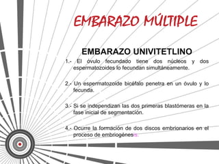 EMBARAZO UNIVITETLINO
1.- El óvulo fecundado tiene dos núcleos y dos
   espermatozoides lo fecundan simultáneamente.

2.- Un espermatozoide bicéfalo penetra en un óvulo y lo
    fecunda.

3.- Si se independizan las dos primeras blastómeras en la
    fase inicial de segmentación.

4.- Ocurre la formación de dos discos embrionarios en el
    proceso de embriogénesis.
 