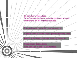 Un solo huevo fecundado.
Temprana separación o desdoblamiento del acúmulo
embrionario en dos mitades idénticas.


El parecido psíquico y físico es muy grande.

Siempre son del mismo sexo y grupo sanguíneo y Rh.

Huellas plantares y dactilares son muy parecidas.

Placenta con dos cordones
Frecuencia de inserción velamentosa.
 