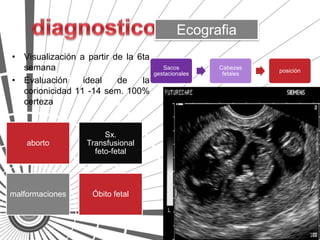Ecografia
• Visualización a partir de la 6ta
  semana                                Sacos        Cabezas
                                                                posición
                                     gestacionales    fetales
• Evaluación     ideal    de    la
  corionicidad 11 -14 sem. 100%
  certeza


                       Sx.
    aborto        Transfusional
                    feto-fetal




malformaciones     Óbito fetal
 