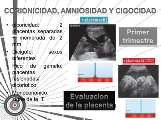 • dicoricidad:       2
  placentas separadas
  + membrada de 2
  mm
• Dicigoto:      sexos
  diferentes
• Pico de gemelo:
  placentas
  fusionadas/
  dicoriotico
• Monocorionico:
  signo de la T
 