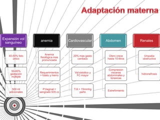 Expansión vol
                   anemia             Cardiovascular       Abdomen           Renales
 sanguíneo


                       Anemia
   40-50% feto                           20% mas gasto      Útero crece        Uropatia
                  fisiológica mas
      único                                cardiaco        hasta 10 litros    obstructiva
                    pronunciada


                                                            Compresion
     50-60%
                  Requerimientos         Vol sistolico y      visceras
    gestación                                                                hidronefrosis
                  > folato y hierro       FC mayor         abdominales y
     múltiple
                                                             toraxicas



      500 ml        P.Vaginal =          T/A > 15mmhg
                                                           Estreñimiento
    adicionales   sangrado 935 cc             parto
 