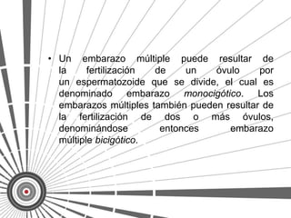 • Un embarazo múltiple puede resultar de
  la     fertilización de    un    óvulo     por
  un espermatozoide que se divide, el cual es
  denominado embarazo monocigótico. Los
  embarazos múltiples también pueden resultar de
  la fertilización de dos o más óvulos,
  denominándose         entonces      embarazo
  múltiple bicigótico.
 