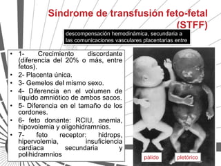 Síndrome de transfusión feto-fetal
                                      (STFF)
                  descompensación hemodinámica, secundaria a
                  las comunicaciones vasculares placentarias entre
                  fetos
• 1-      Crecimiento     discordante
  (diferencia del 20% o más, entre
  fetos).
• 2- Placenta única.
• 3- Gemelos del mismo sexo.
• 4- Diferencia en el volumen de
  líquido amniótico de ambos sacos.
• 5- Diferencia en el tamaño de los
  cordones.
• 6- feto donante: RCIU, anemia,
  hipovolemia y oligohidramnios.
• 7-     feto   receptor:     hidrops,
  hipervolemia,          insuficiencia
  cardiaca        secundaria         y
  polihidramnios                                pálido        pletórico
 