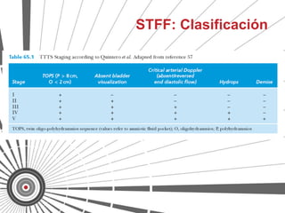 STFF: Clasificación
 
