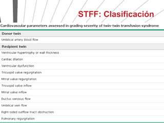 STFF: Clasificación
 