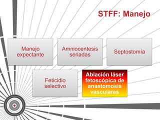 STFF: Manejo



  Manejo            Amniocentesis
                                      Septostomía
expectante            seriadas


                            Ablación láser
             Feticidio      fetoscópica de
             selectivo       anastomosis
                              vasculares
 