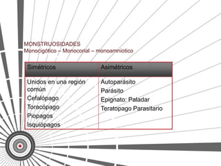 MONSTRUOSIDADES
Monocigótico – Monocorial – monoamniotico


 Simétricos                 Asimétricos

 Unidos en una región       Autoparásito
 común                      Parásito
 Cefalópago                 Epignato: Paladar
 Toracópago                 Teratopago Parasitario
 Piopagos
 Isquiópagos
 