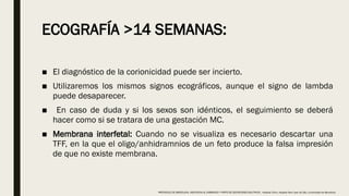 ECOGRAFÍA >14 SEMANAS:
■ El diagnóstico de la corionicidad puede ser incierto.
■ Utilizaremos los mismos signos ecográficos, aunque el signo de lambda
puede desaparecer.
■ En caso de duda y si los sexos son idénticos, el seguimiento se deberá
hacer como si se tratara de una gestación MC.
■ Membrana interfetal: Cuando no se visualiza es necesario descartar una
TFF, en la que el oligo/anhidramnios de un feto produce la falsa impresión
de que no existe membrana.
PROTOCOLO DE BARCELONA, ASISTENCIA AL EMBARAZO Y PARTO DE GESTACIONES MULTIPLES . Hospital Clinic, Hospital Sant Joan de Déu, Universidad de Barcelona.
 