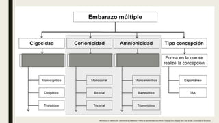 PROTOCOLO DE BARCELONA, ASISTENCIA AL EMBARAZO Y PARTO DE GESTACIONES MULTIPLES . Hospital Clinic, Hospital Sant Joan de Déu, Universidad de Barcelona.
 