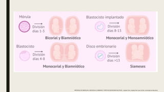 PROTOCOLO DE BARCELONA, ASISTENCIA AL EMBARAZO Y PARTO DE GESTACIONES MULTIPLES . Hospital Clinic, Hospital Sant Joan de Déu, Universidad de Barcelona.
 